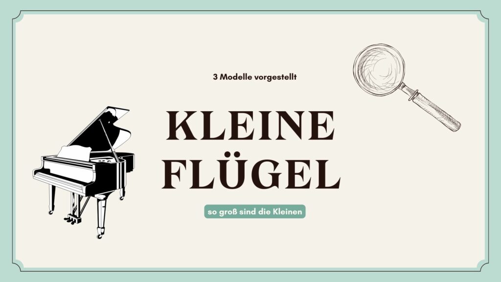 kleine Flügel