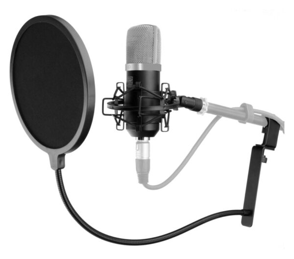 Pronomic CM-22 Großmembranmikrofon Set inkl. Popschutz